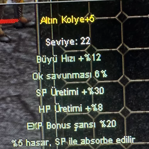 20 EXP BONUSLU İTEM